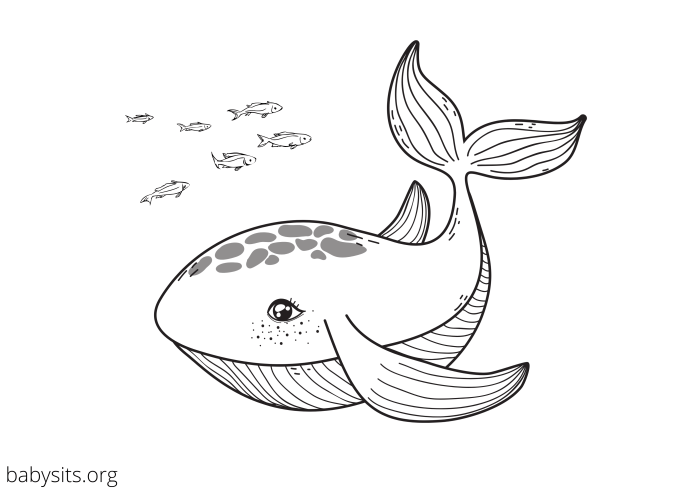 Sea animals coloring pages free printable