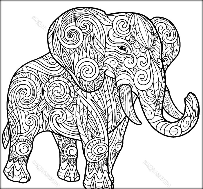 Animal mandalas coloring pages