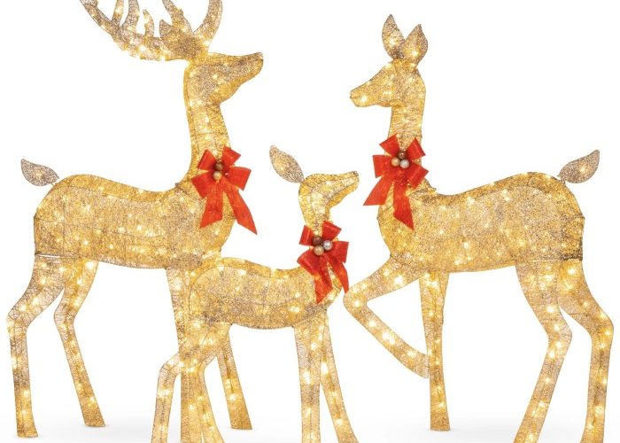 Christmas Deer Decor Outdoor Festive Yard Ideas