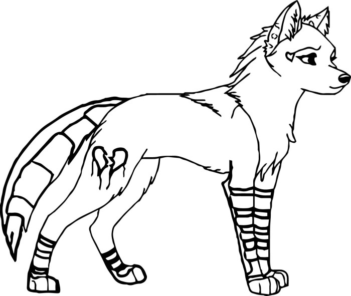 Coloring pages foxes anime