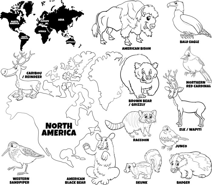 Coloring pages of north american animals