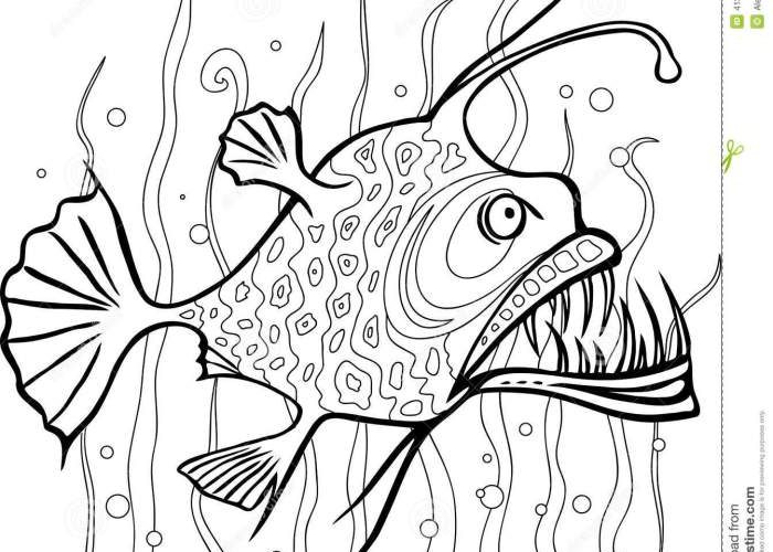 Deep Sea Animals Coloring A Creative Dive