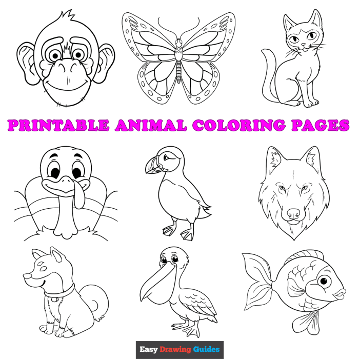 Coloring animals worksheet for kindergarten