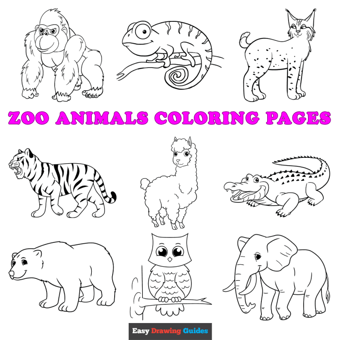 Kids animal coloring pages printable