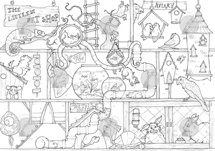 Coloring pages pet shop animals