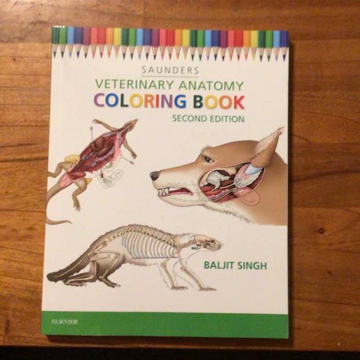 Animal anatomy coloring book