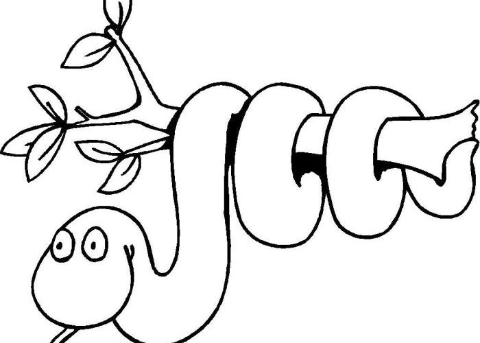 Cartoon Jungle Animals Coloring Pages