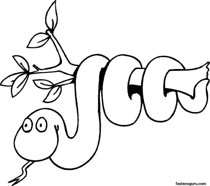 Cartoon jungle animals coloring pages