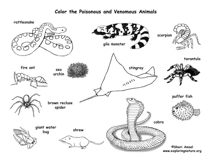 Coloring page stealing an animal