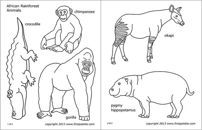 African Rainforest Animals Coloring Pages