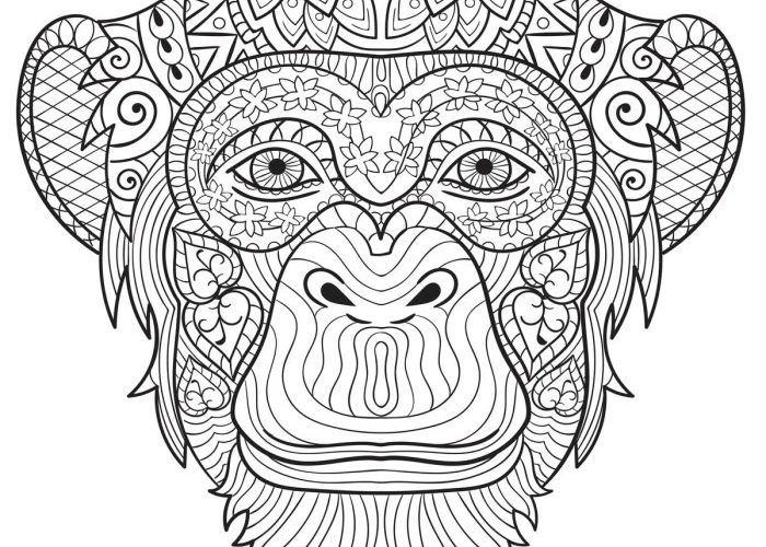 Exquisite Animals Coloring Book by Rocket Publishing