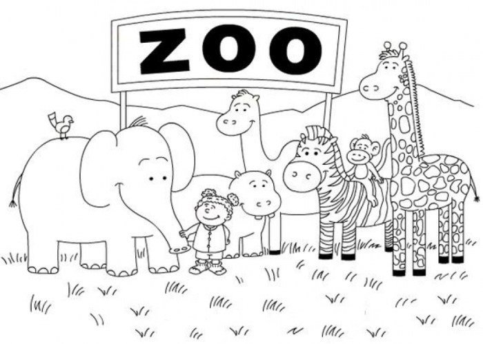 Free Coloring Sheet Zoo Animals A Wild Adventure